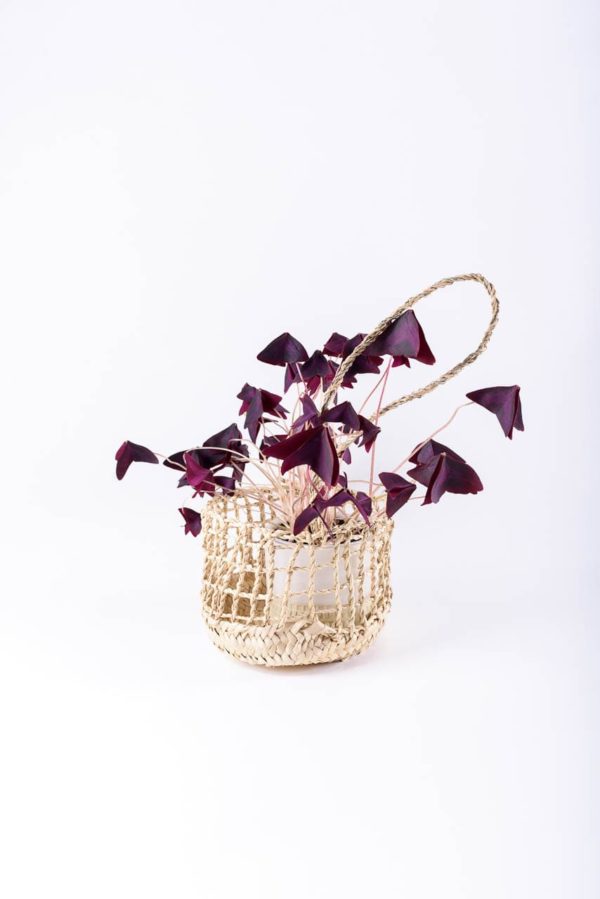 Panier à suspendre en fibres de palmier avec fleur