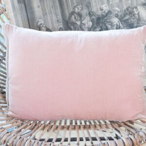 Coussin en velours de soie poudre 35x50 cm