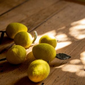 citron feutre de laine muskhane artisanat népal