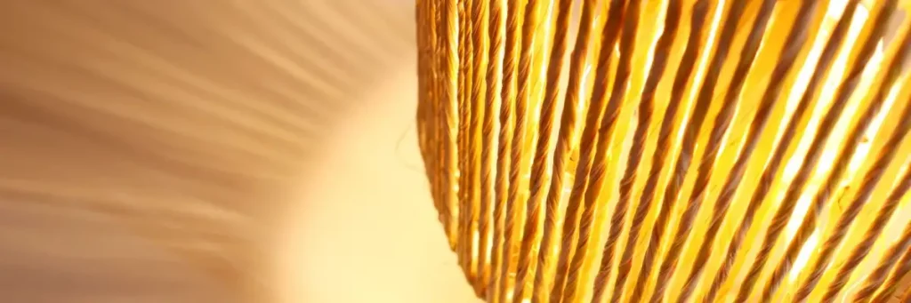 Lampe en fibres de Raphia